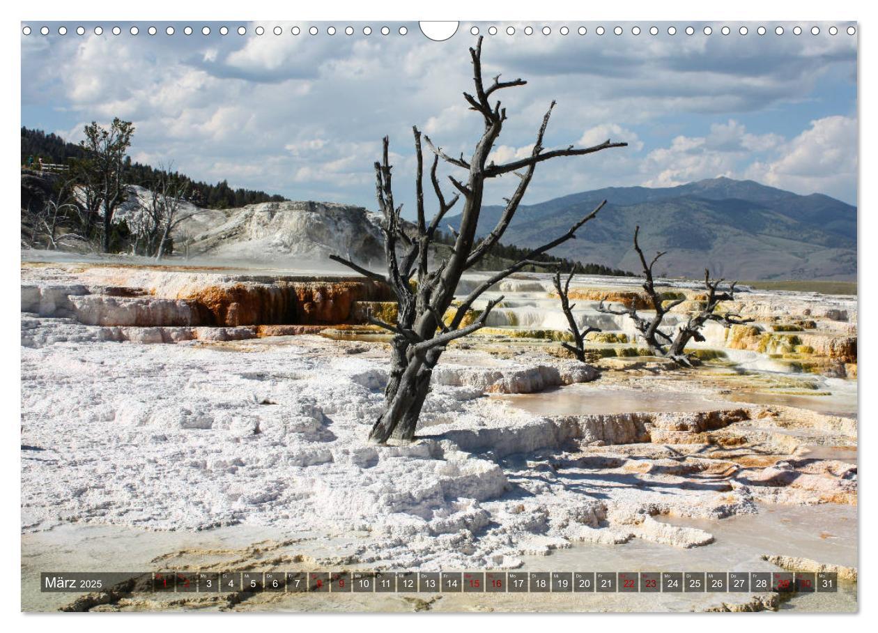 Bild: 9783435386819 | Farben des Yellowstone National Park 2025 (Wandkalender 2025 DIN A3...