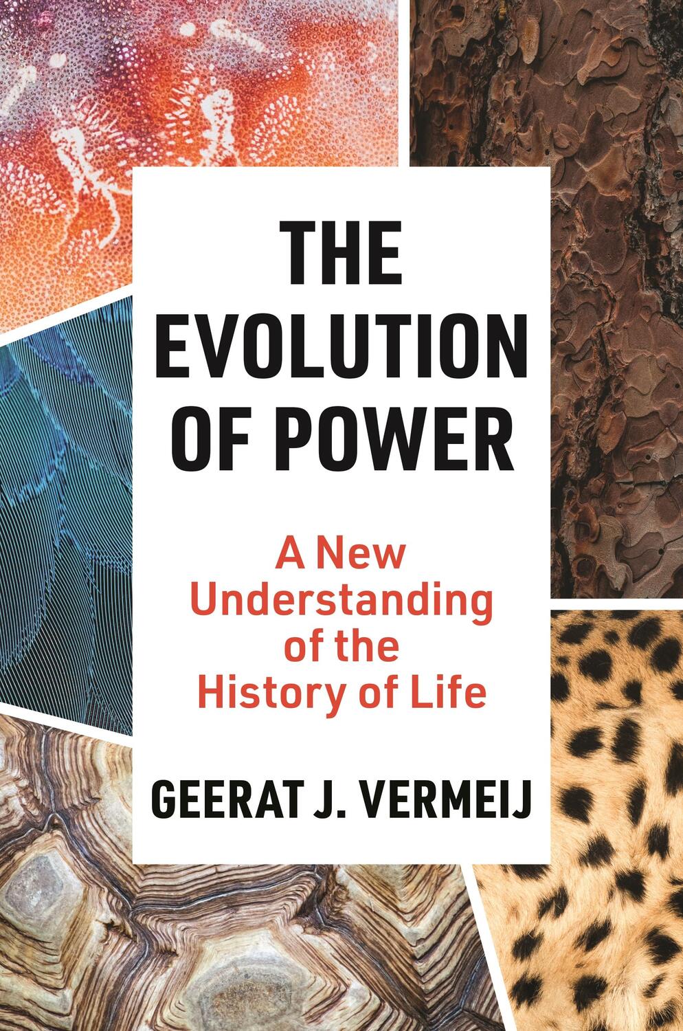 Cover: 9780691250410 | The Evolution of Power | A New Understanding of the History of Life