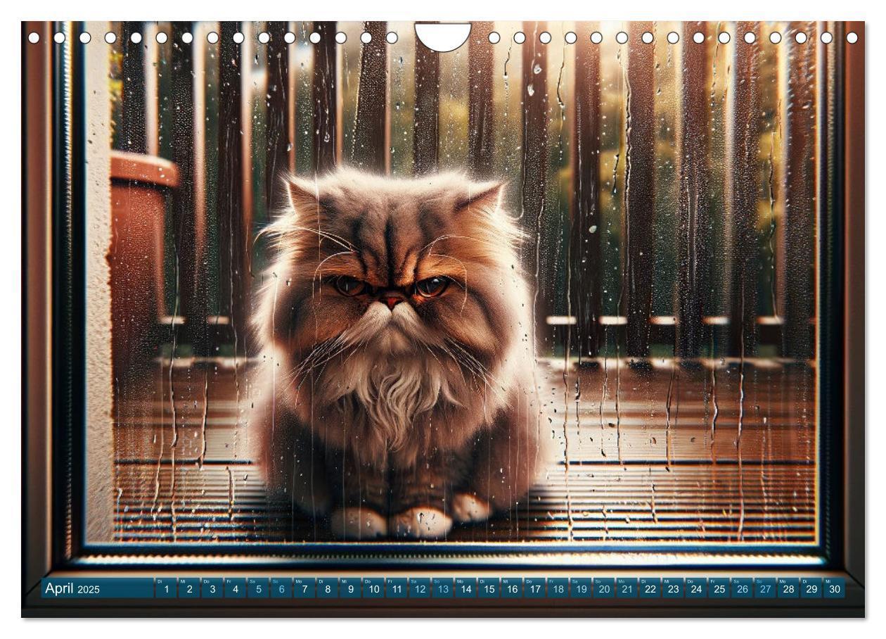 Bild: 9783383793226 | Katzenlaunen - Durch das Jahr mit Fluff und Grummeln (Wandkalender...