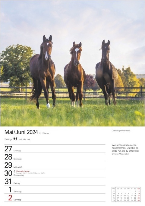 Bild: 9783840031649 | Pferde Wochenplaner 2024. Wochenkalendarium, Zitate und Pferdefotos...