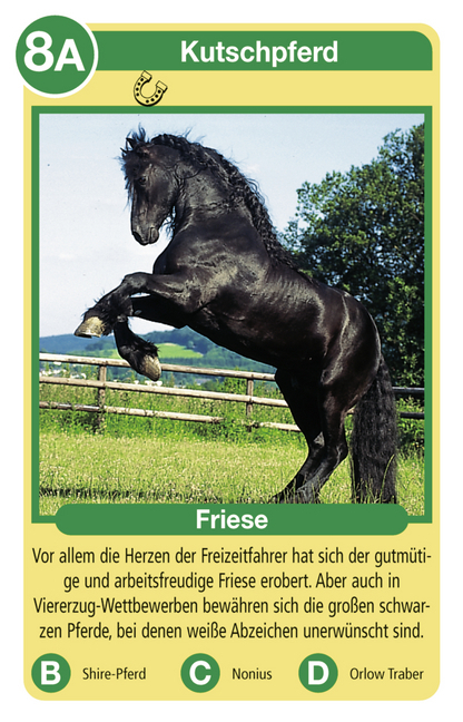 Bild: 4005556204229 | Ravensburger 20422 - Tierquartett Pferde, Klassiker für 3-6 Spieler...