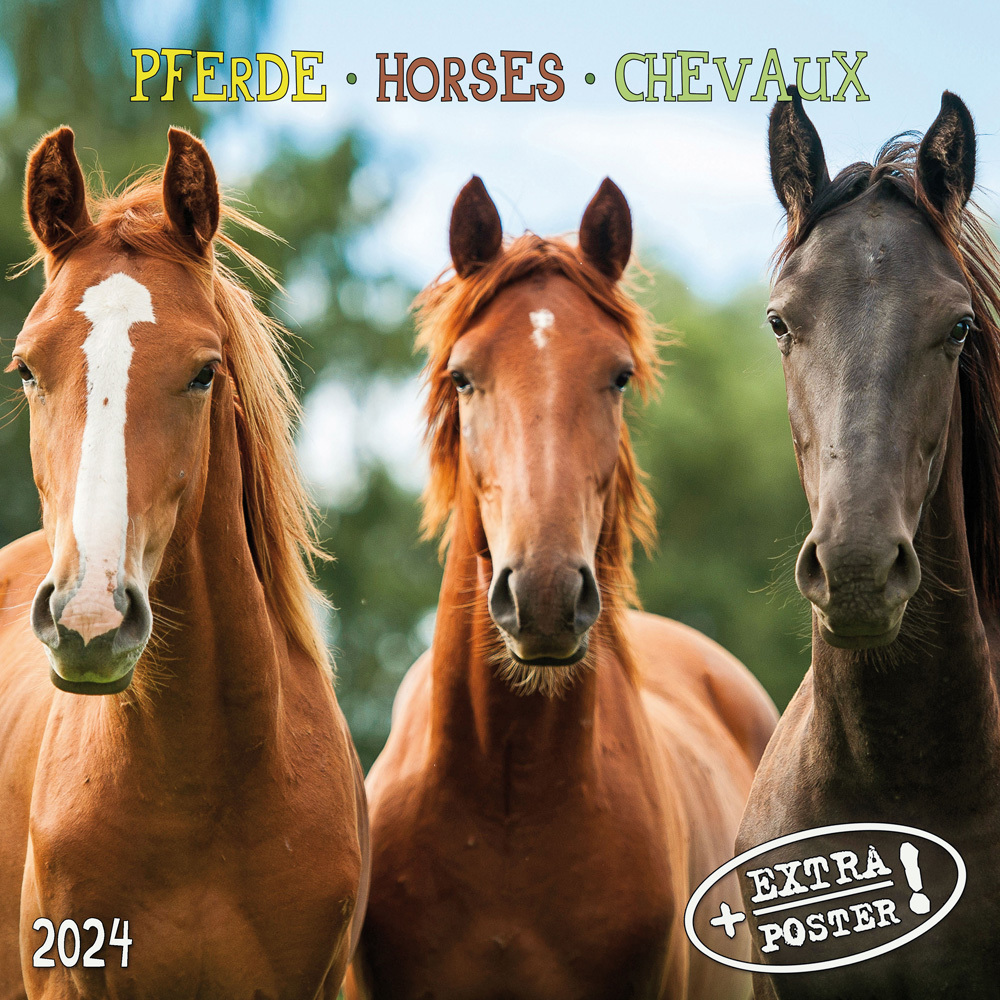 Cover: 9783959293266 | Horses/Pferde 2024 | Kalender 2024 | Kalender | Drahtheftung | 28 S.