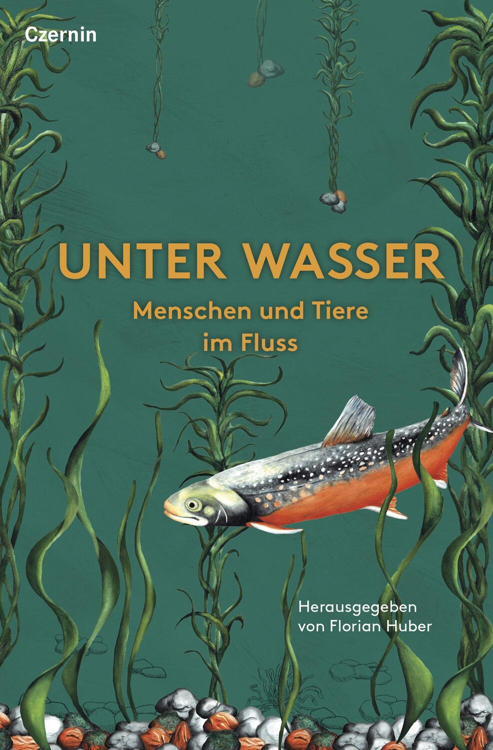Cover: 9783707607581 | Unter Wasser | Menschen und Tiere im Fluss | Florian Huber | Buch