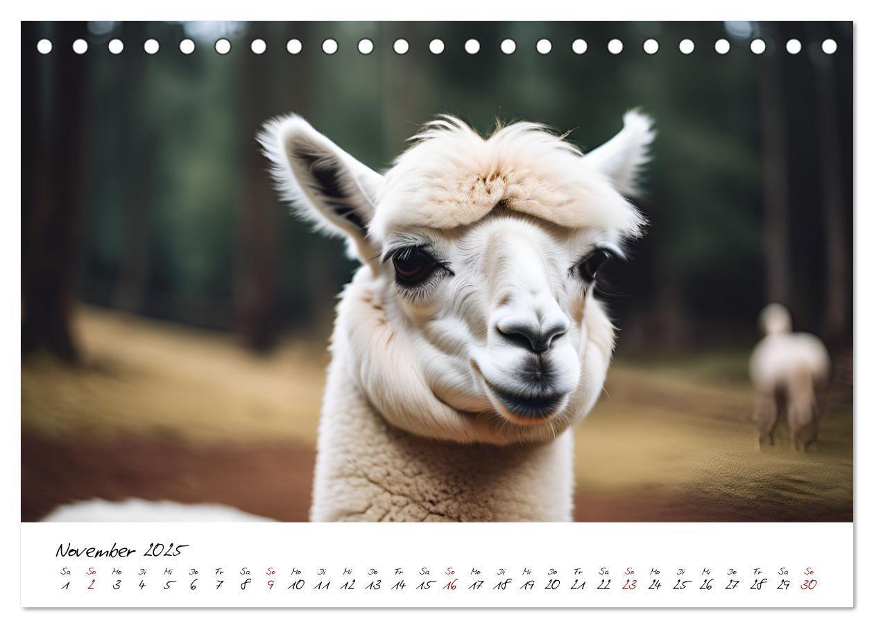 Bild: 9783457189641 | Alpakas, die sanften Andenbewohner (Tischkalender 2025 DIN A5...