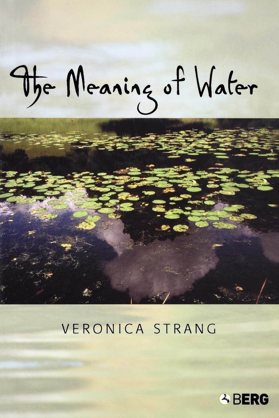 Cover: 9781859737538 | The Meaning of Water | Veronica Strang | Taschenbuch | Paperback