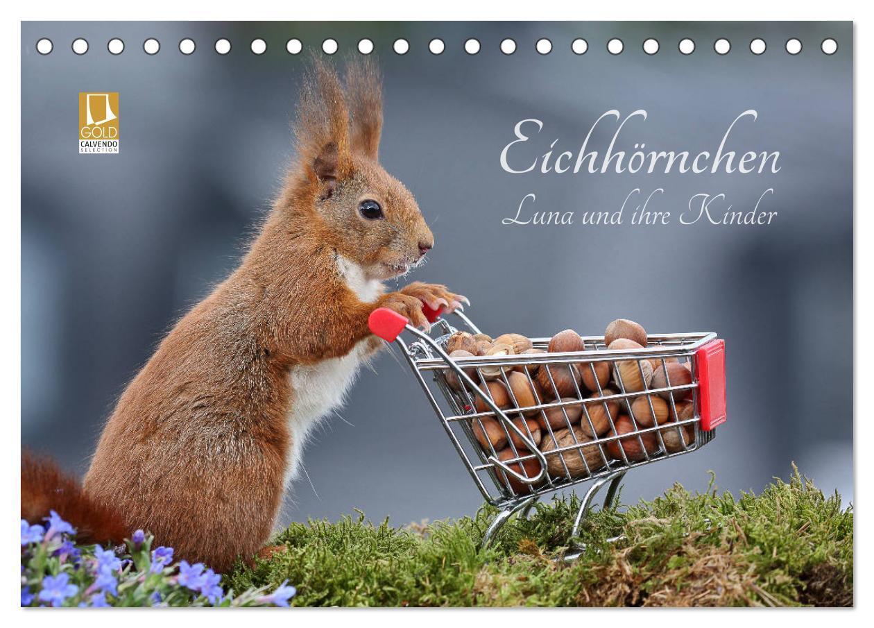 Cover: 9783383135255 | Eichhörnchen Luna und ihre Kinder (Tischkalender 2024 DIN A5 quer),...