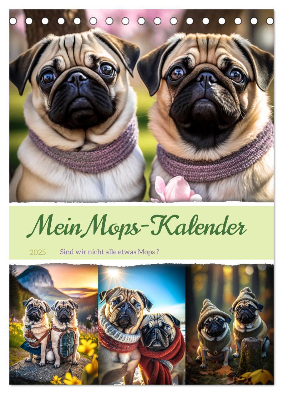 Cover: 9783435876020 | Mein Mops-Kalender (Tischkalender 2025 DIN A5 hoch), CALVENDO...