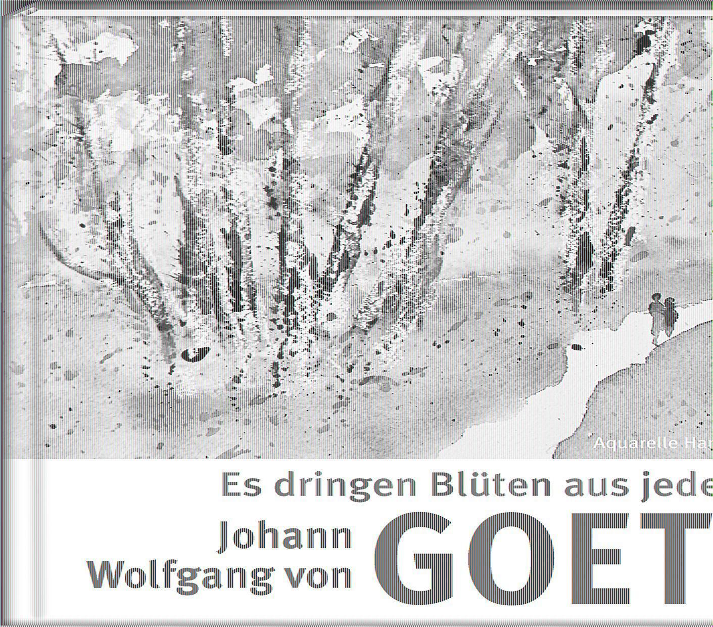 Cover: 9783957990877 | Es dringen Blüten aus jedem Zweig | Johann Wolfgang von Goethe | Buch