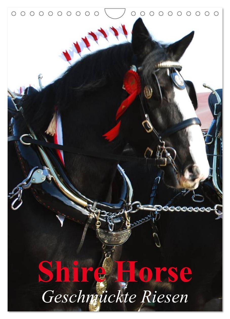 Cover: 9783383553981 | Shire Horse - Geschmückte Riesen (Wandkalender 2024 DIN A4 hoch),...
