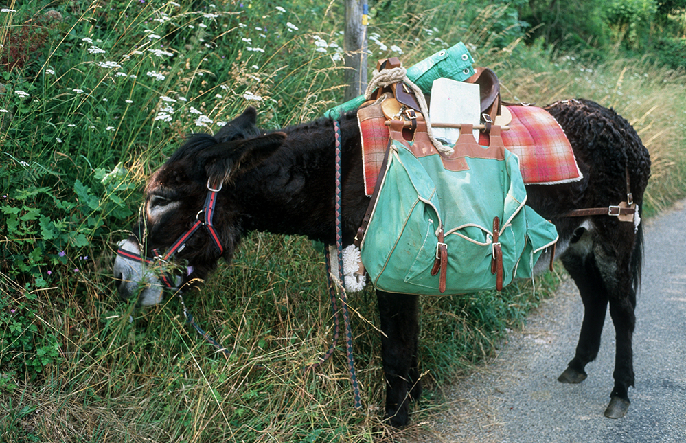 Bild: 9783981802559 | Esel - Wanderungen im Limousin | literarisch-fotografische Reisen