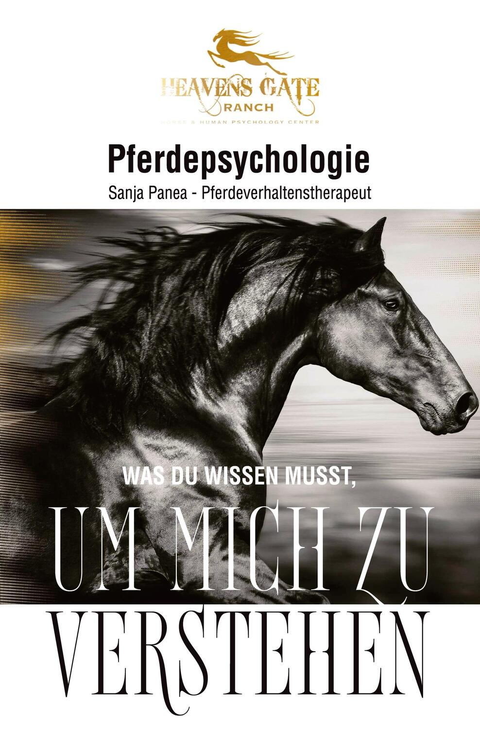 Cover: 9783347113640 | Pferdepsychologie | Was du wissen musst, um mich zu verstehen | Panea