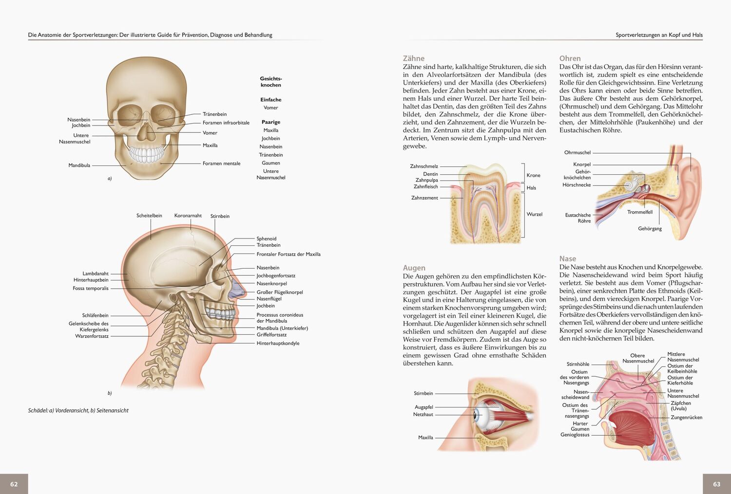 Bild: 9783767912335 | Die Anatomie der Sportverletzungen | Brad Walker | Taschenbuch | 2018