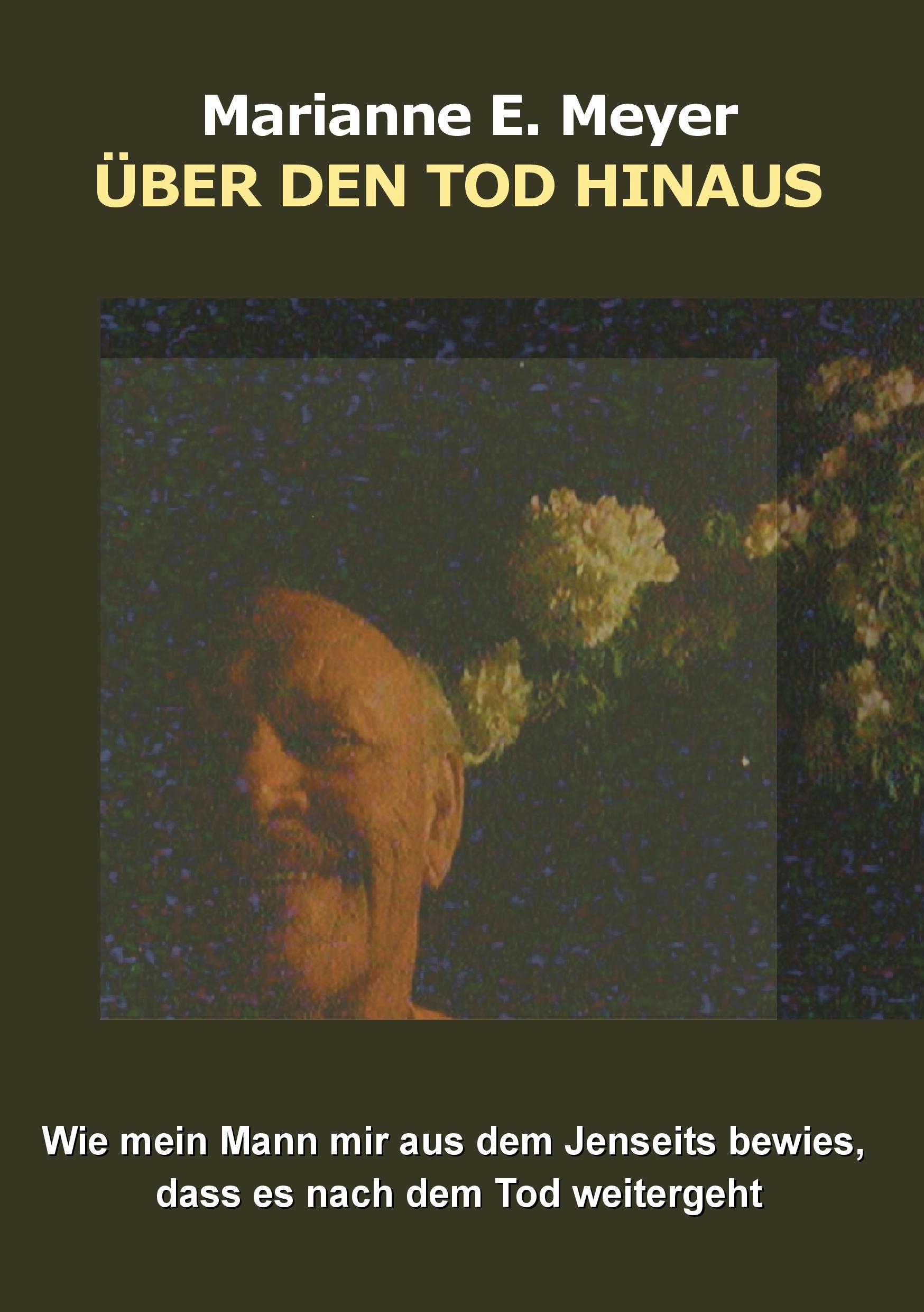 Cover: 9783744816212 | Über den Tod hinaus | Marianne E. Meyer | Taschenbuch | Paperback