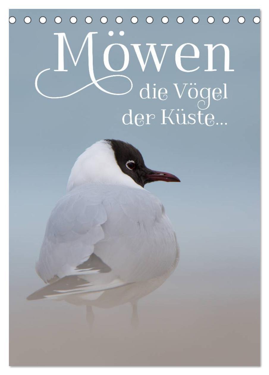 Cover: 9783435998289 | Möwen - die Vögel der Küste (Tischkalender 2025 DIN A5 hoch),...