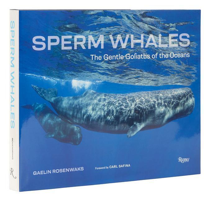 Cover: 9780847872329 | Sperm Whales | The Gentle Goliaths of the Ocean | Carl Safina (u. a.)