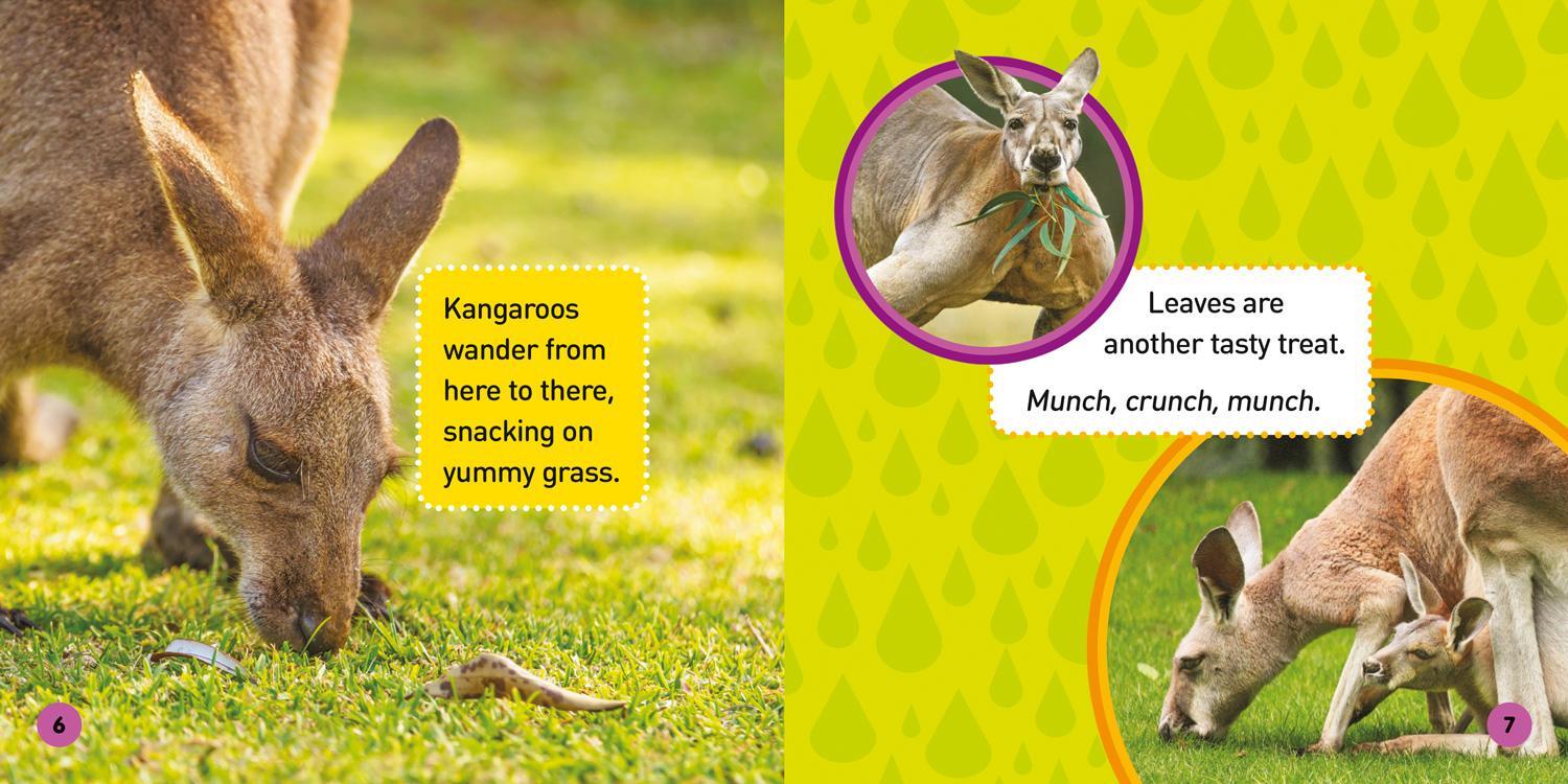 Bild: 9781426331572 | Explore My World: Kangaroos | Jill Esbaum | Taschenbuch | Englisch