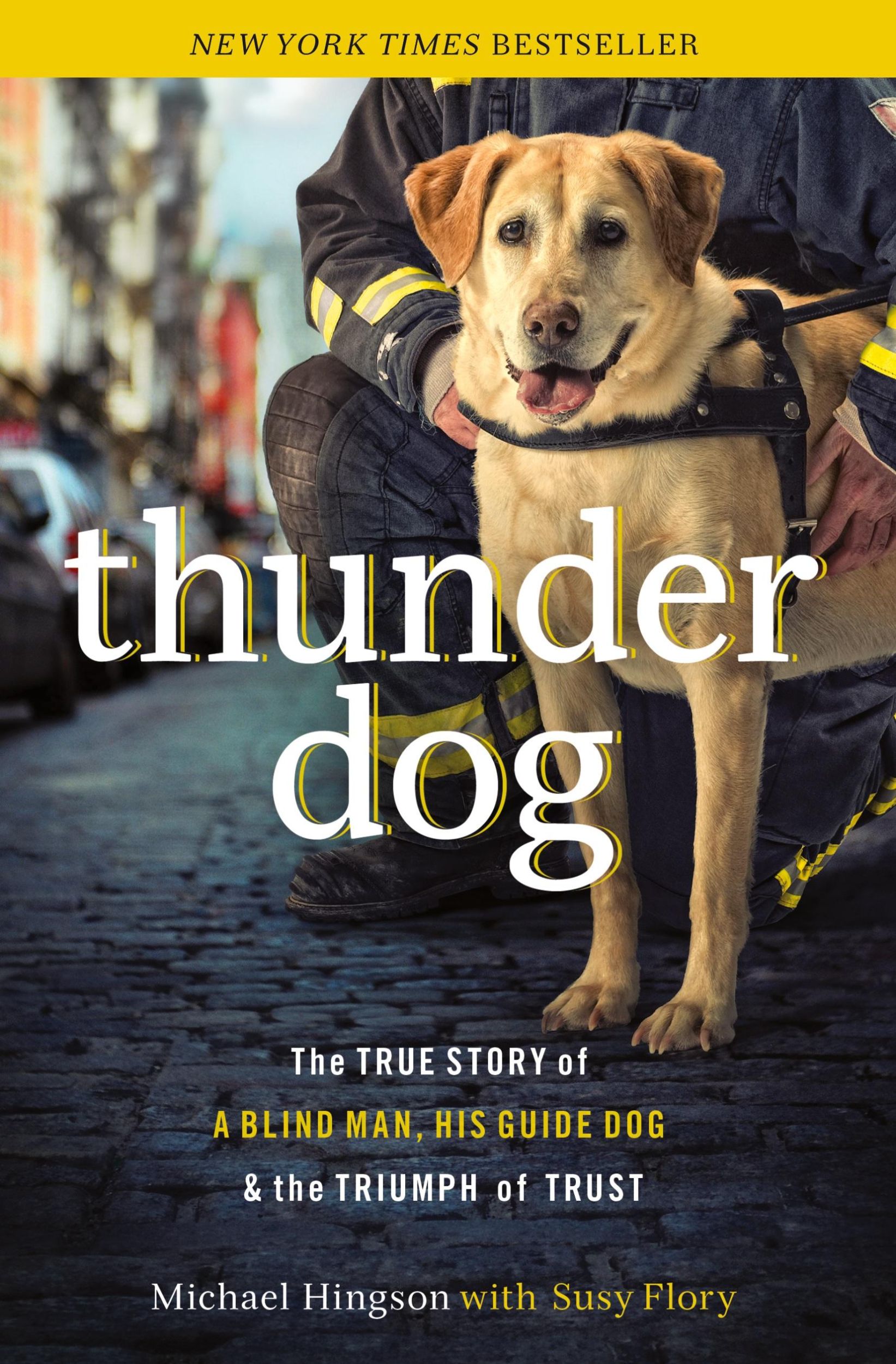 Cover: 9781400204724 | Thunder Dog | Michael Hingson | Taschenbuch | Kartoniert / Broschiert