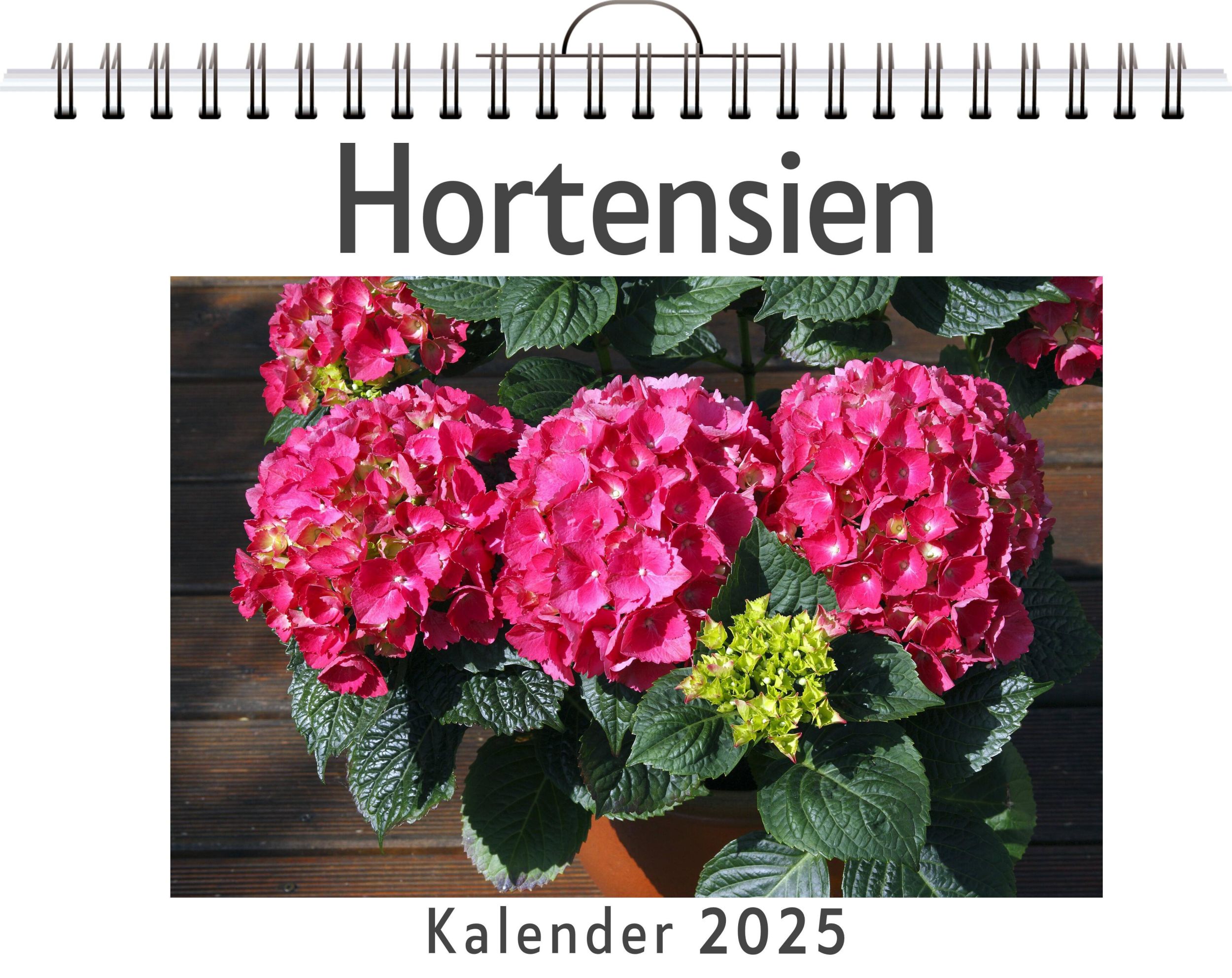 Cover: 9783759123787 | Hortensien - (Wandkalender 2025, Kalender DIN A4 quer,...