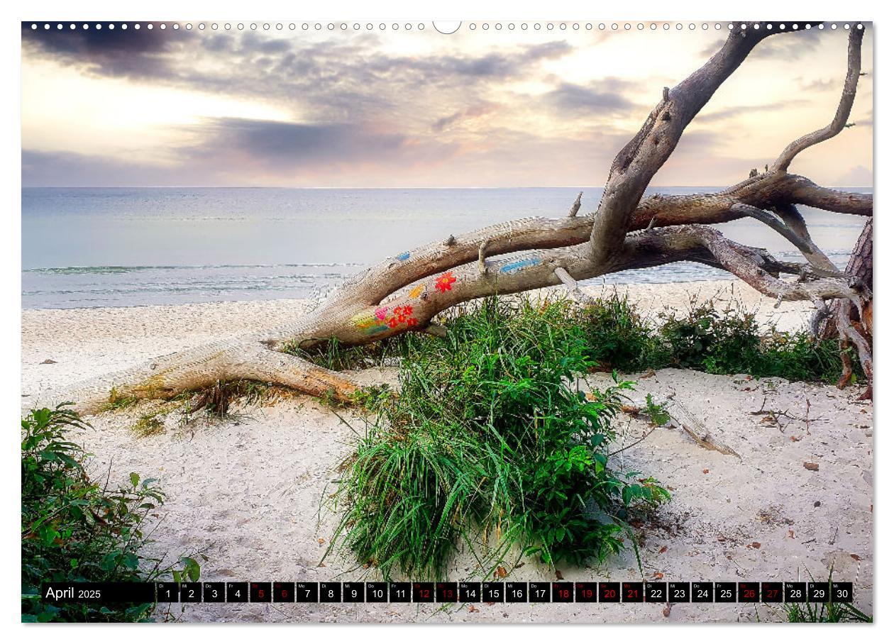 Bild: 9783435023547 | Fischland - Darß- Zingst (Wandkalender 2025 DIN A2 quer), CALVENDO...