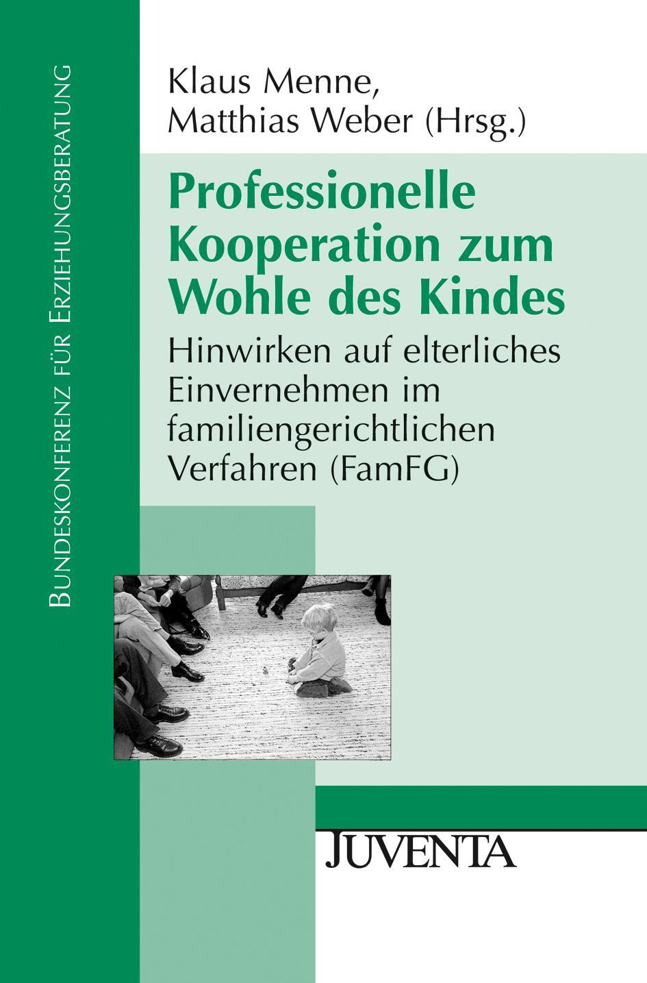 Cover: 9783779907725 | Professionelle Kooperation zum Wohle des Kindes | Taschenbuch | 230 S.