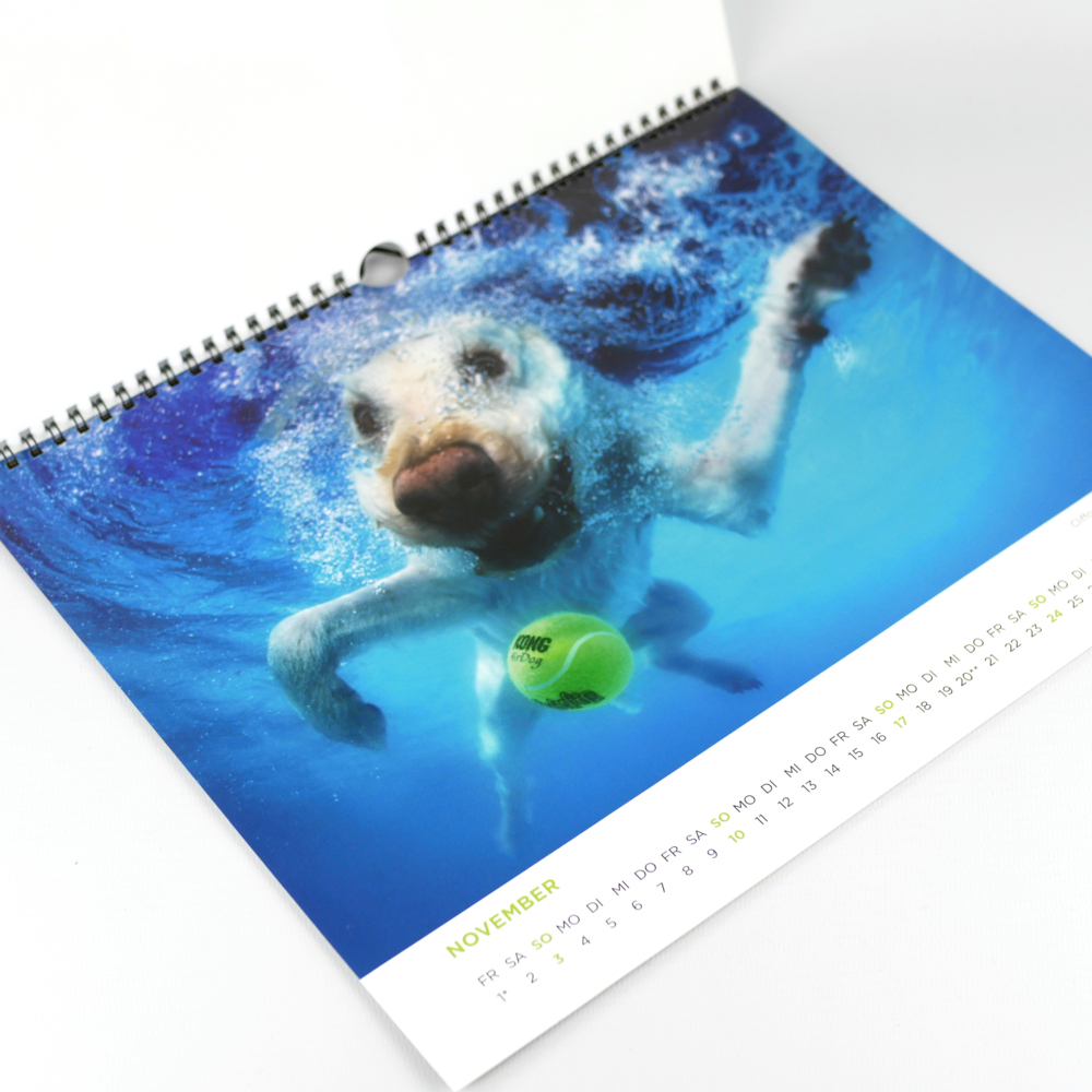 Bild: 9783742323521 | Hunde unter Wasser 2024 | Seth Casteel | Kalender | Spiralbindung