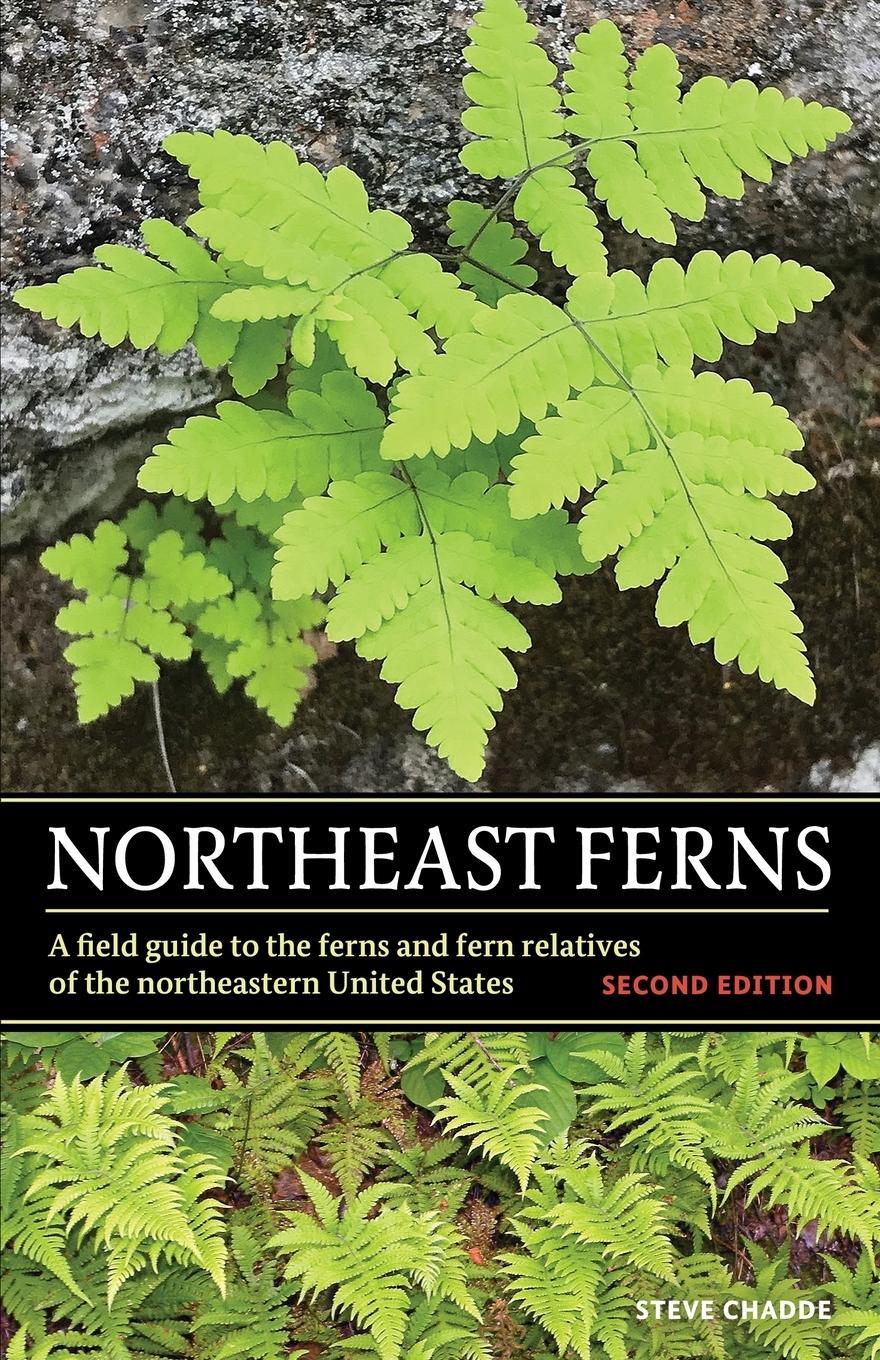 Cover: 9781951682712 | Northeast Ferns | Steve W Chadde | Taschenbuch | Paperback | Englisch