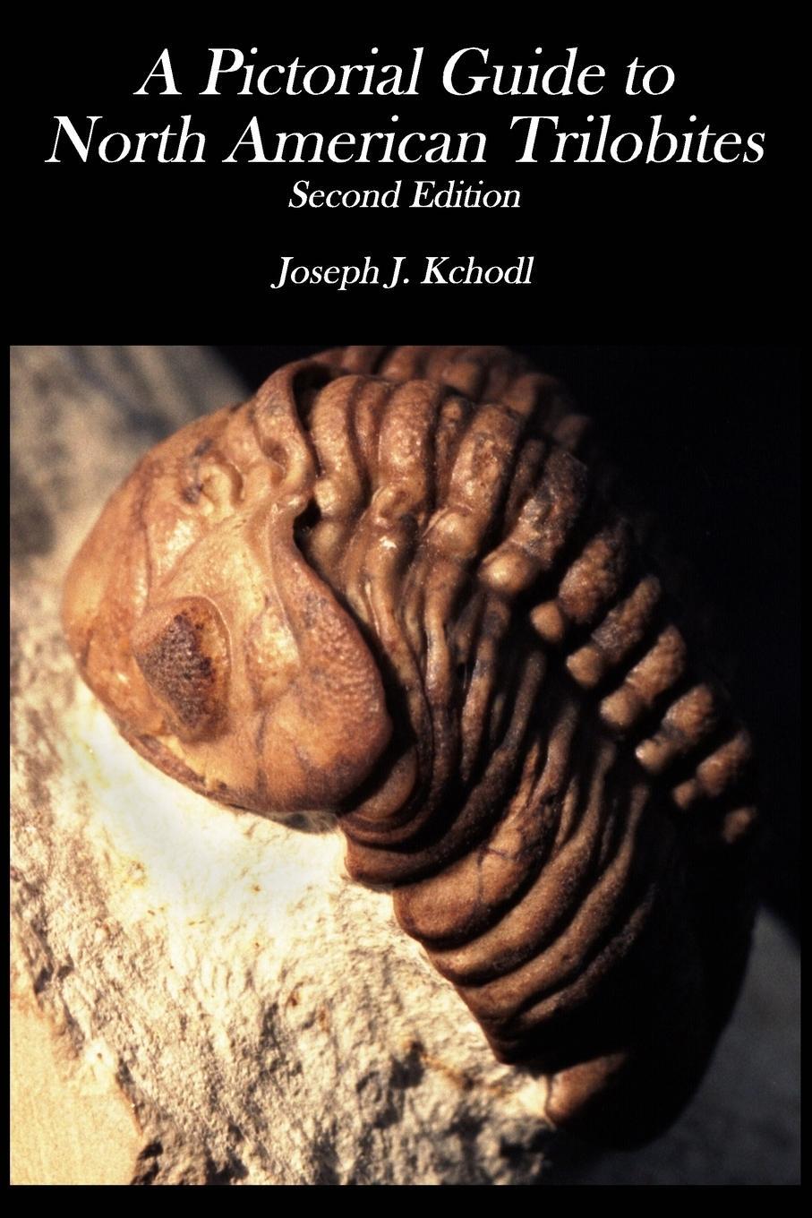 Cover: 9780368263835 | Pictorial Guide to North American Trilobites | Joseph J. Kchodl | Buch