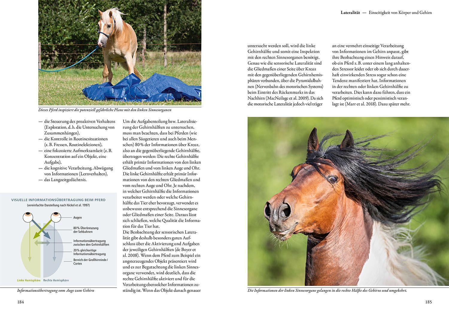 Bild: 9783440171875 | Forschung trifft Pferd | Konstanze Krüger (u. a.) | Buch | 224 S.