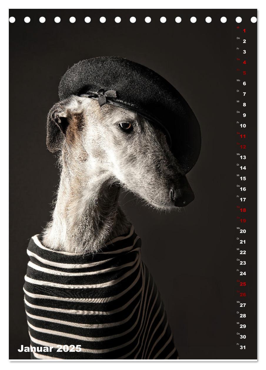 Bild: 9783457230732 | dogmuse deluxe (Tischkalender 2025 DIN A5 hoch), CALVENDO...