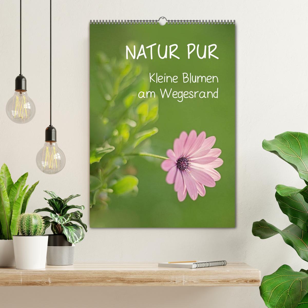 Bild: 9783457017319 | NATUR PUR Kleine Blumen am Wegesrand (Wandkalender 2025 DIN A2...