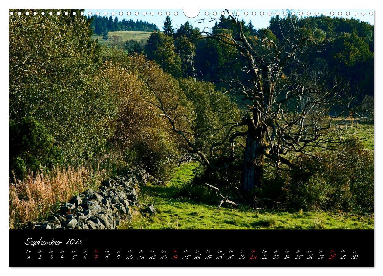 Bild: 9783435778843 | RHÖN = SCHÖN (Wandkalender 2025 DIN A3 quer), CALVENDO Monatskalender