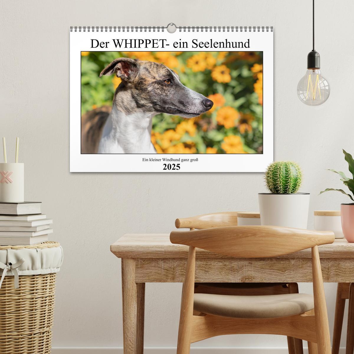 Bild: 9783383941634 | Der Whippet - ein Seelenhund (Wandkalender 2025 DIN A3 quer),...