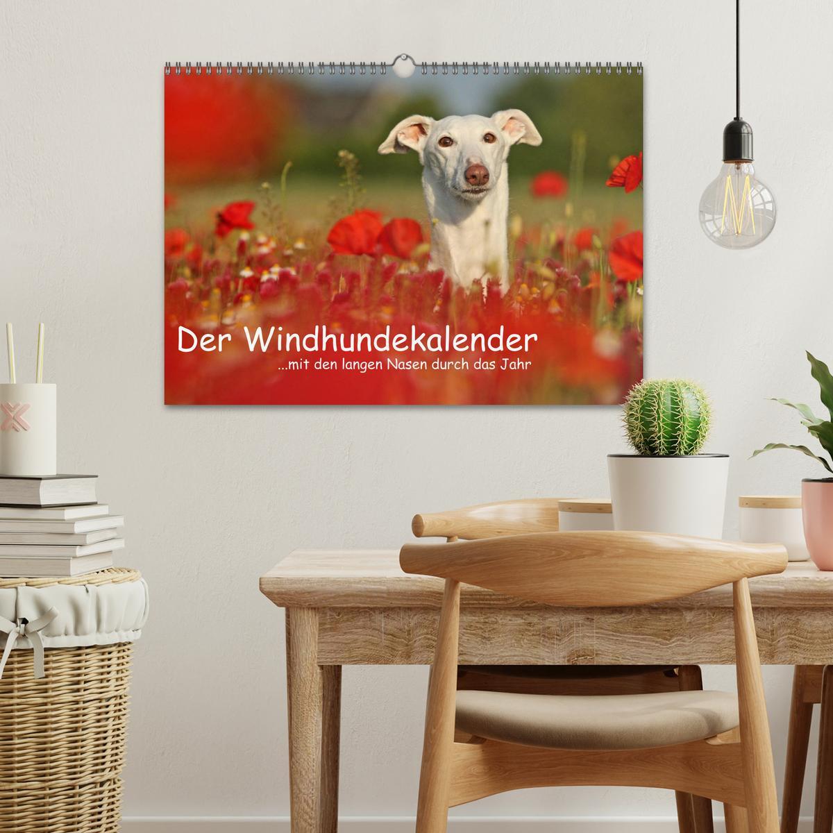 Bild: 9783435775583 | Der Windhundekalender (Wandkalender 2025 DIN A3 quer), CALVENDO...