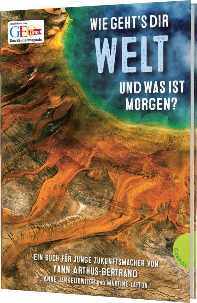 Cover: 9783522304696 | Wie geht's dir Welt und was ist morgen? | Anne Jankéliowitch (u. a.)
