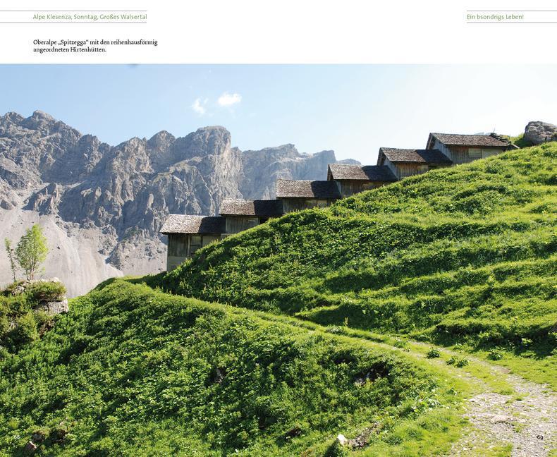 Bild: 9783706625357 | Vorarlberger Alpgeschichten | Irene Prugger | Buch | Deutsch | 2015
