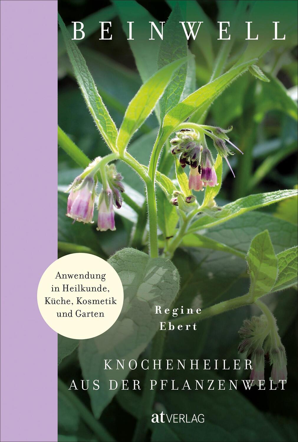 Cover: 9783039021406 | Beinwell | Regine Ebert | Buch | Deutsch | 2022 | AT Verlag