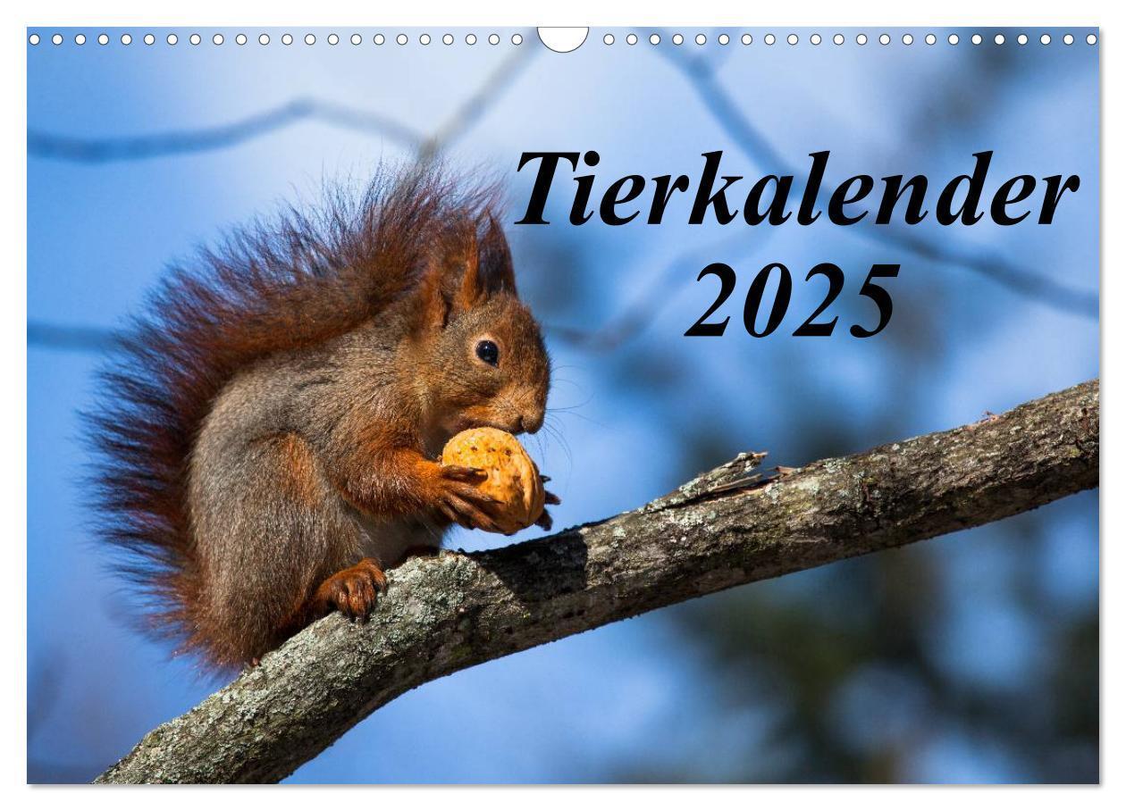 Cover: 9783435797493 | Tierkalender 2025 (Wandkalender 2025 DIN A3 quer), CALVENDO...