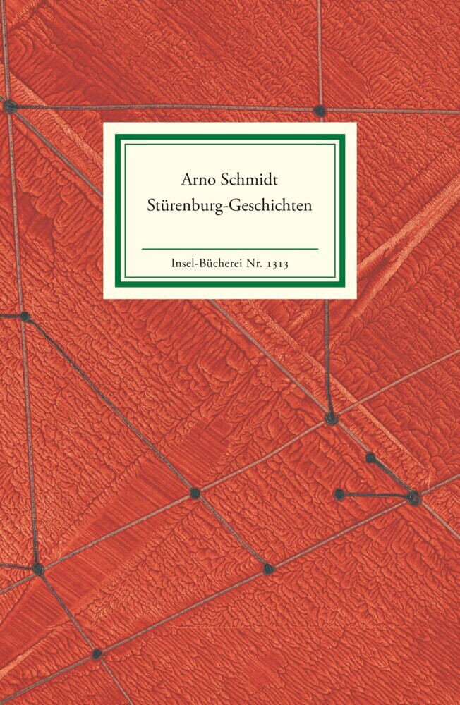 Cover: 9783458193135 | Stürenburg-Geschichten | Acht Erzählungen | Arno Schmidt | Taschenbuch