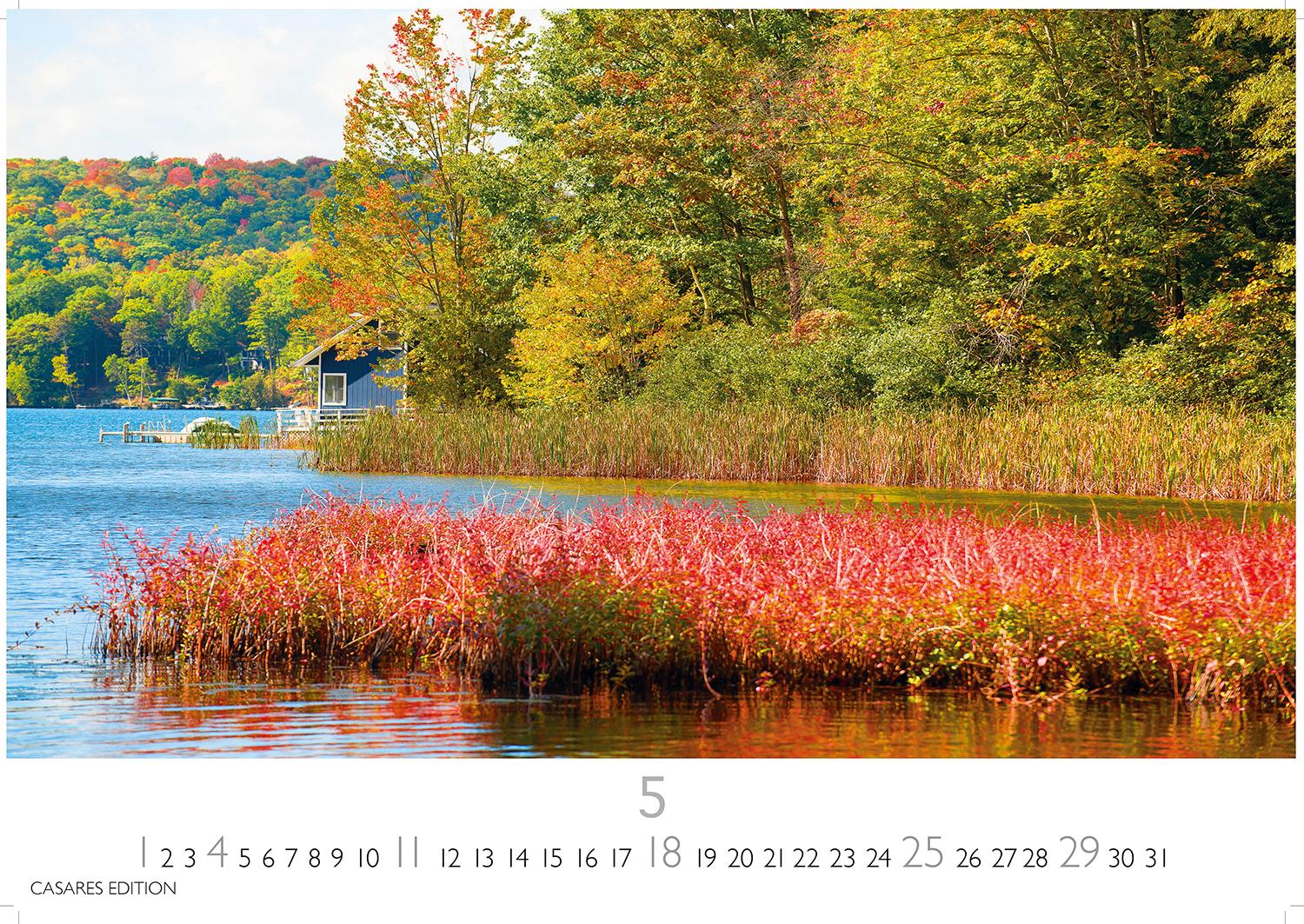 Bild: 9781835242803 | Indian Summer 2025 L 35x50cm | Kalender | 14 S. | Deutsch | 2025