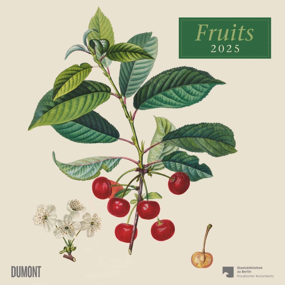 Cover: 4250809652818 | DUMONT - Fruits 2025 Broschürenkalender, 30x30cm, Wandkalender mit...