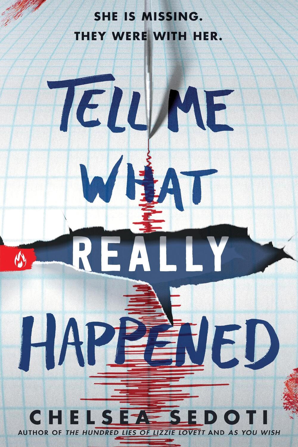 Cover: 9781728280127 | Tell Me What Really Happened | Chelsea Sedoti | Taschenbuch | Englisch