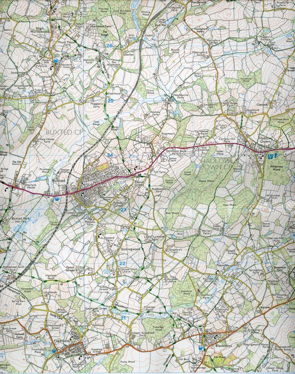 Bild: 9780319243282 | Ashdown Forest | Ordnance Survey | (Land-)Karte | Karte/Landkarte