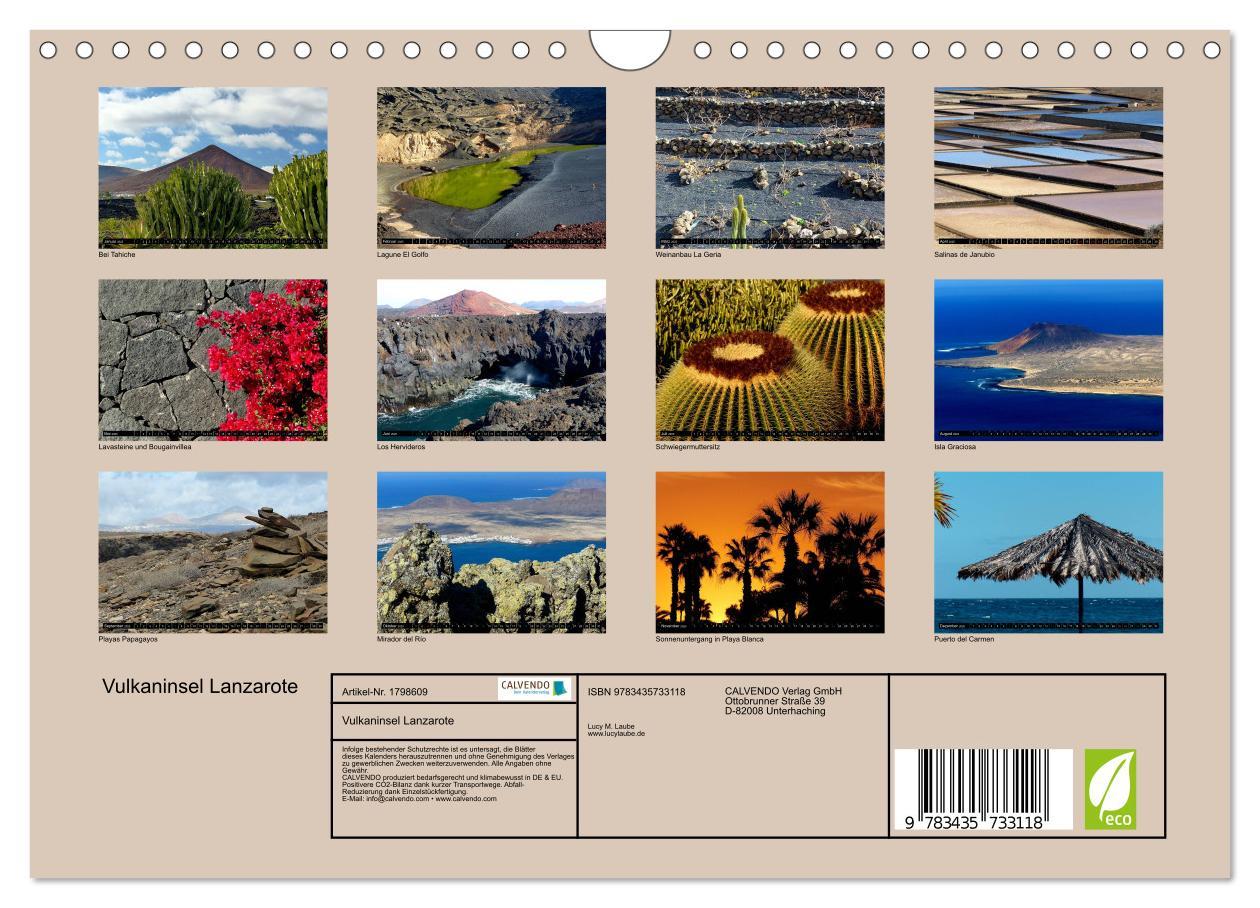 Bild: 9783435733118 | Vulkaninsel Lanzarote (Wandkalender 2025 DIN A4 quer), CALVENDO...