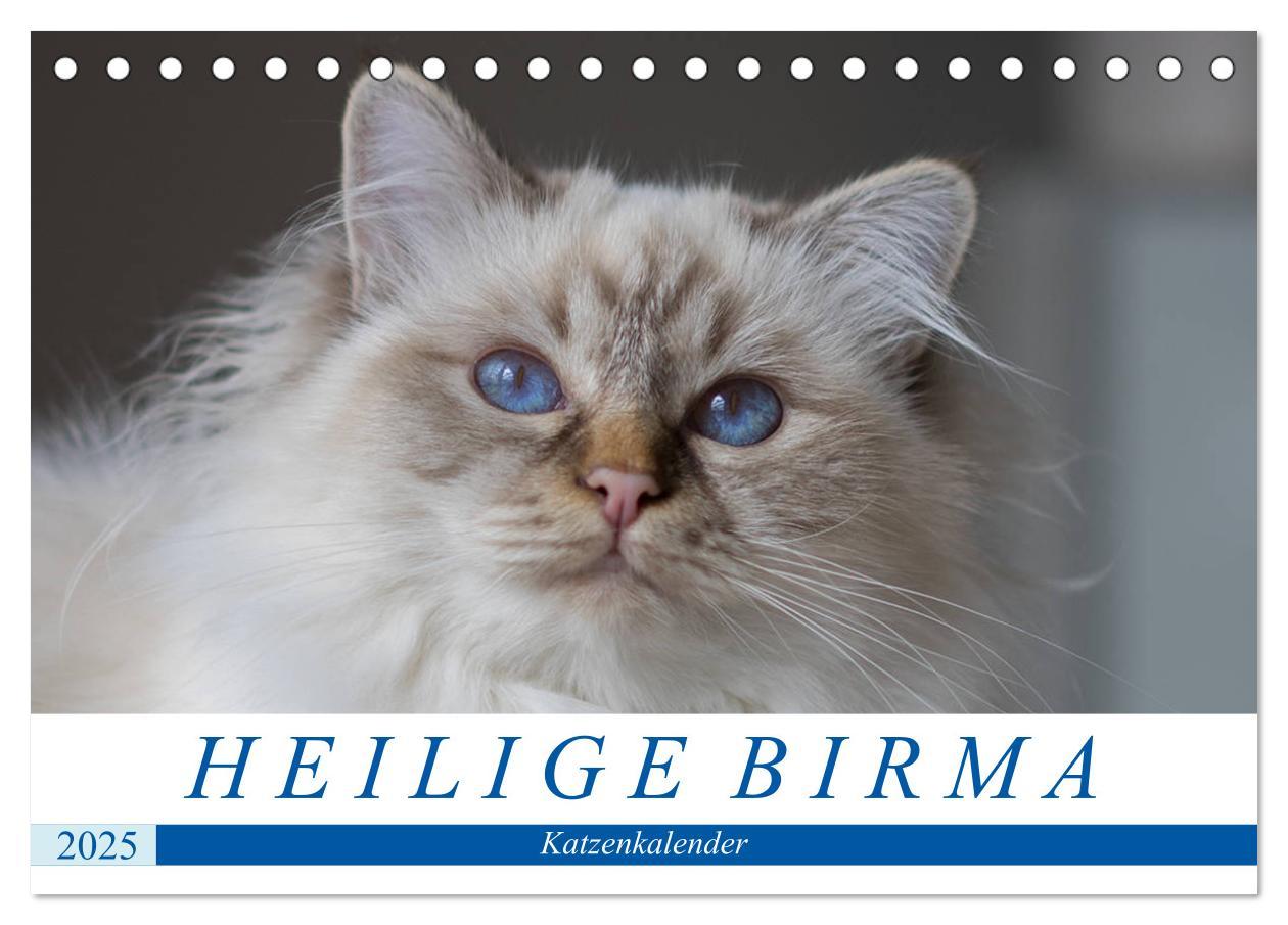 Cover: 9783435756186 | Heilige Birma Katzenkalender (Tischkalender 2025 DIN A5 quer),...