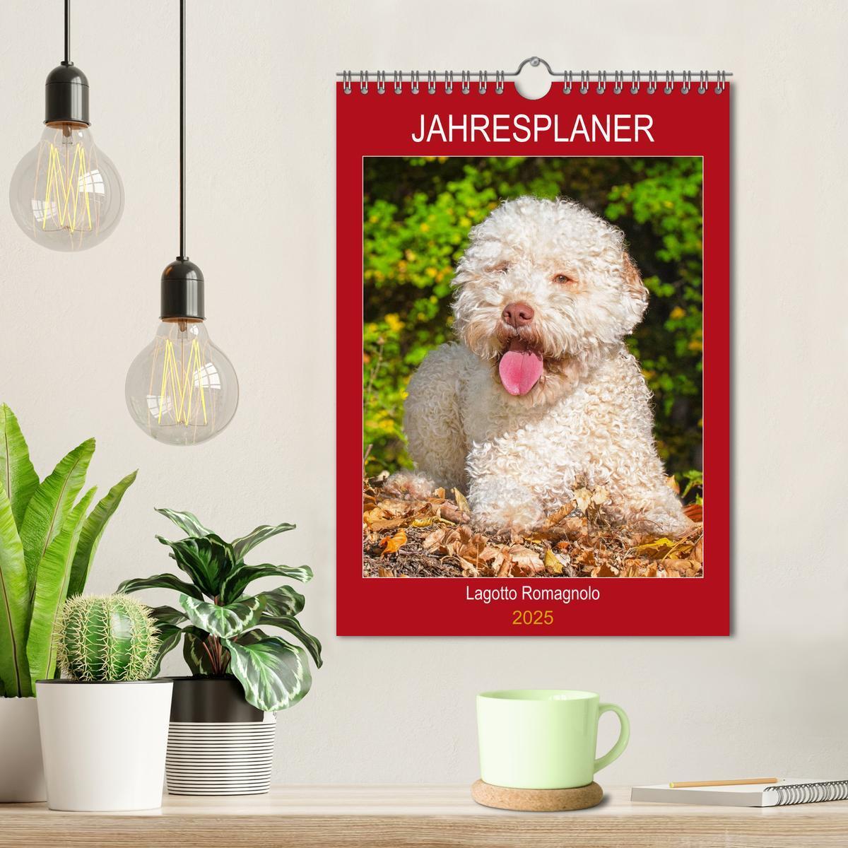 Bild: 9783435959495 | Jahresplaner Lagotto Romagnolo (Wandkalender 2025 DIN A4 hoch),...