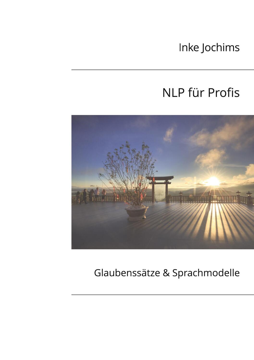Cover: 9783839198742 | NLP für Profis | Glaubenssätze &amp; Sprachmodelle | Inke Jochims | Buch