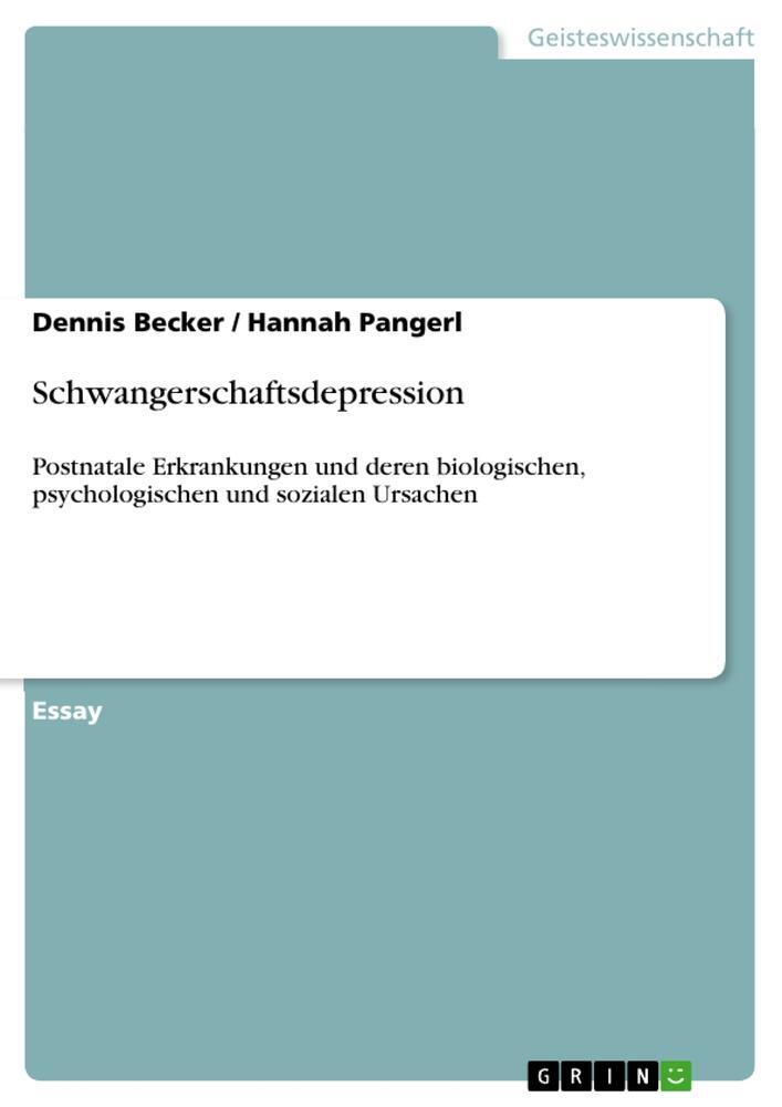Cover: 9783640722471 | Schwangerschaftsdepression | Dennis Becker (u. a.) | Taschenbuch