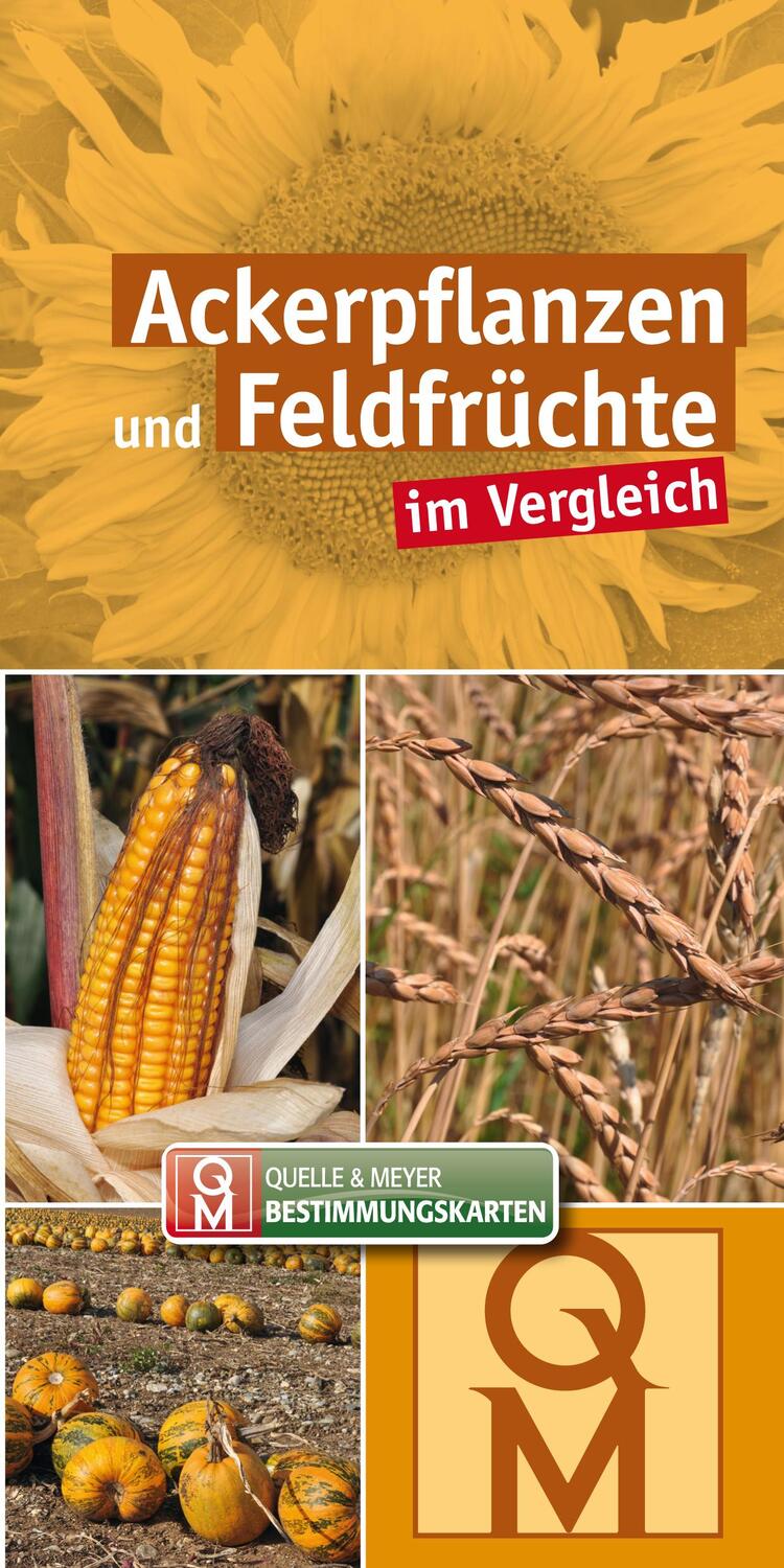 Cover: 9783494018836 | Ackerpflanzen und Feldfrüchte | im Vergleich | Quelle & Meyer Verlag