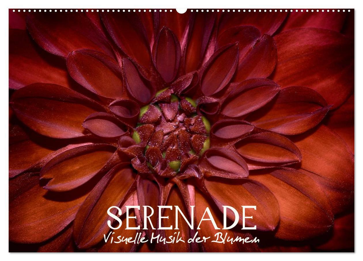 Cover: 9783383439834 | Serenade - Visuelle Musik der Blumen (Wandkalender 2024 DIN A2...