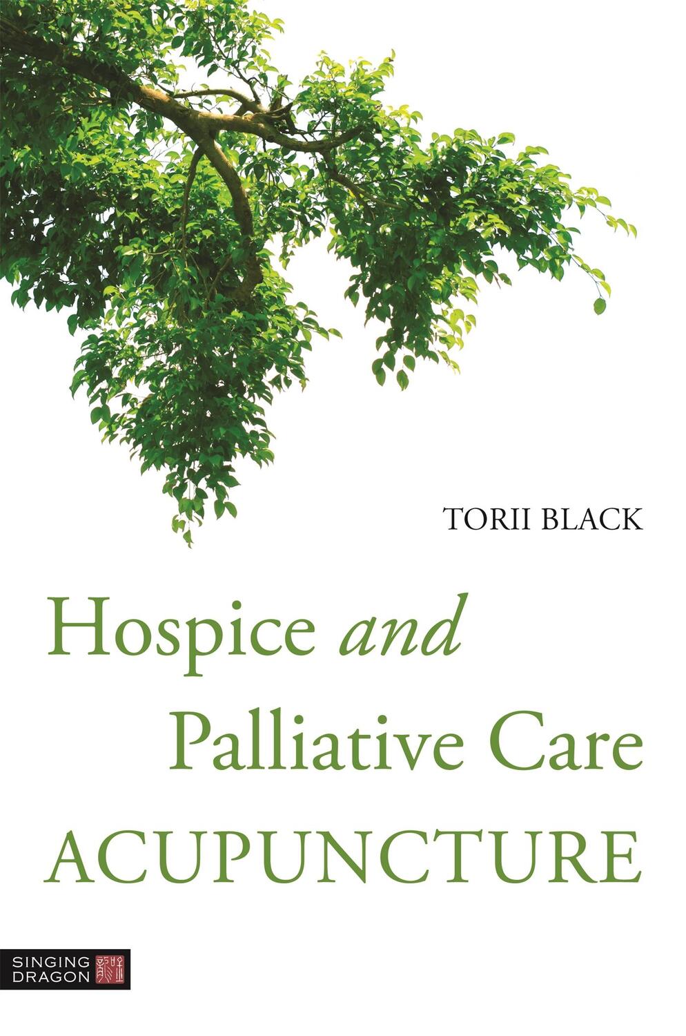 Cover: 9781848194212 | Hospice and Palliative Care Acupuncture | Torii Black | Taschenbuch